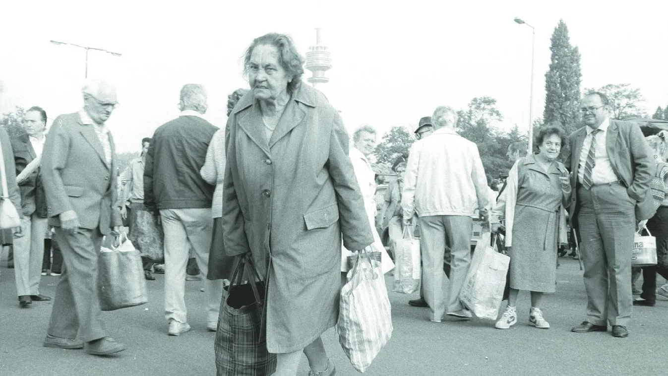 A volt képviselő meg a hentes-jogtanácsos