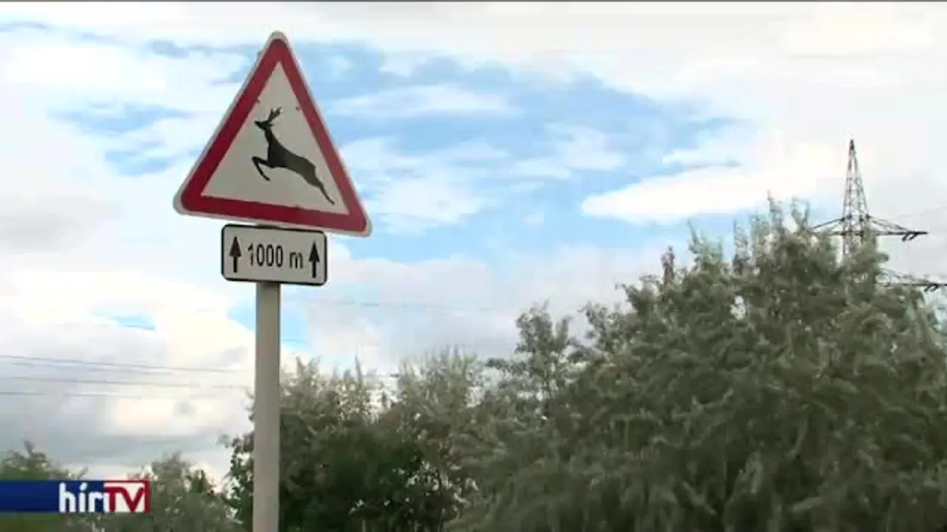 Vadriasztó sípot ajánlanak a rendőrök