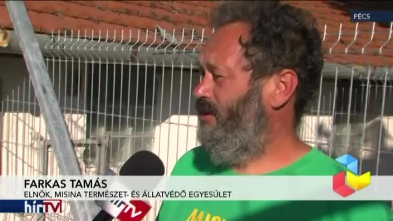 Reggeli járat – Svájci segítséggel építik újjá a leégett kutyamenhelyt