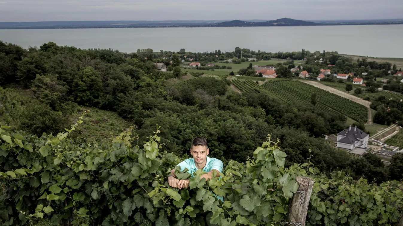 A Balaton elsősorban borvidék