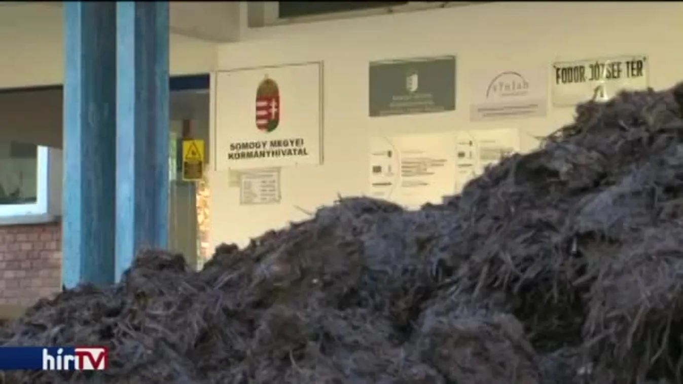 „Ha ekével jövök a Kossuth térre, látványosabb lesz az eredménye?”