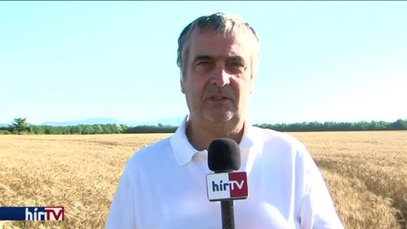 Reggeli járat - Kevés, de jó