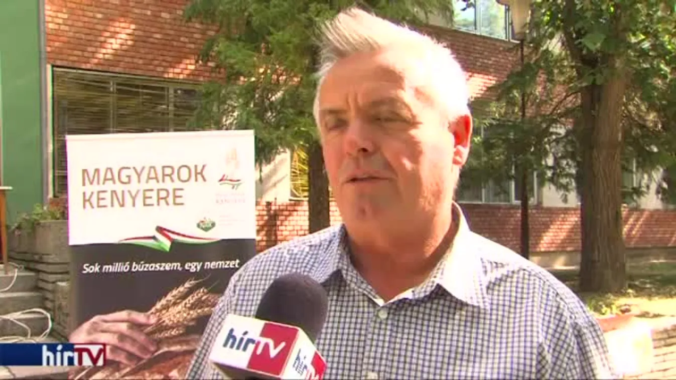 Magyarok kenyere – búzagyűjtő nap Baranya megyében