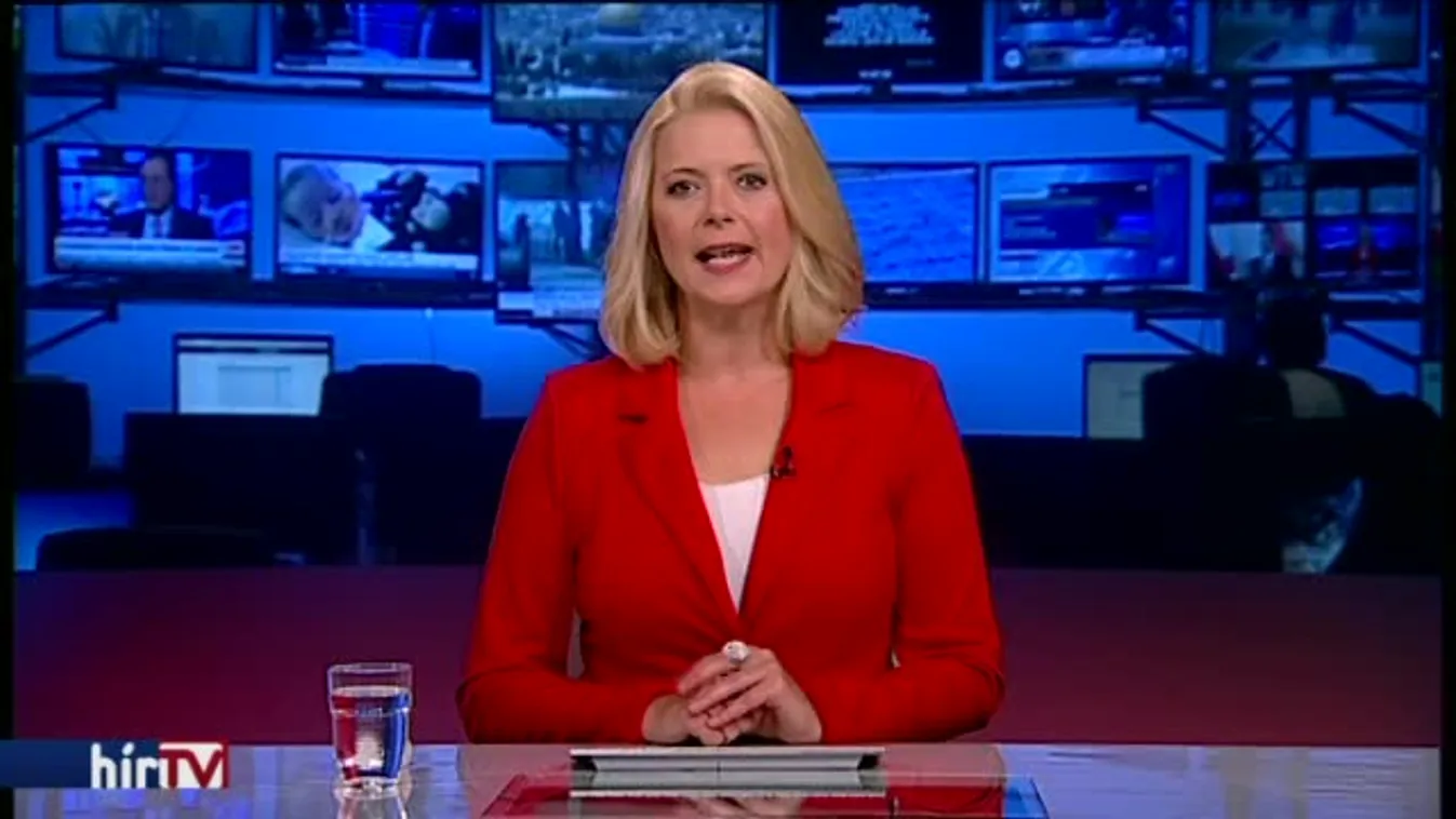 „Európa-ellenes a főtanácsnok indítványa”