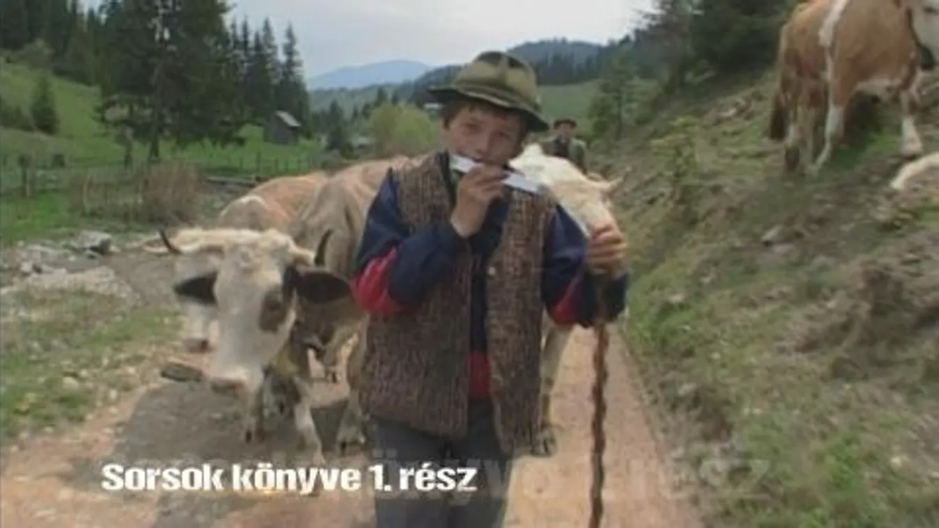 Sorsok könyve II. rész – Vetítő