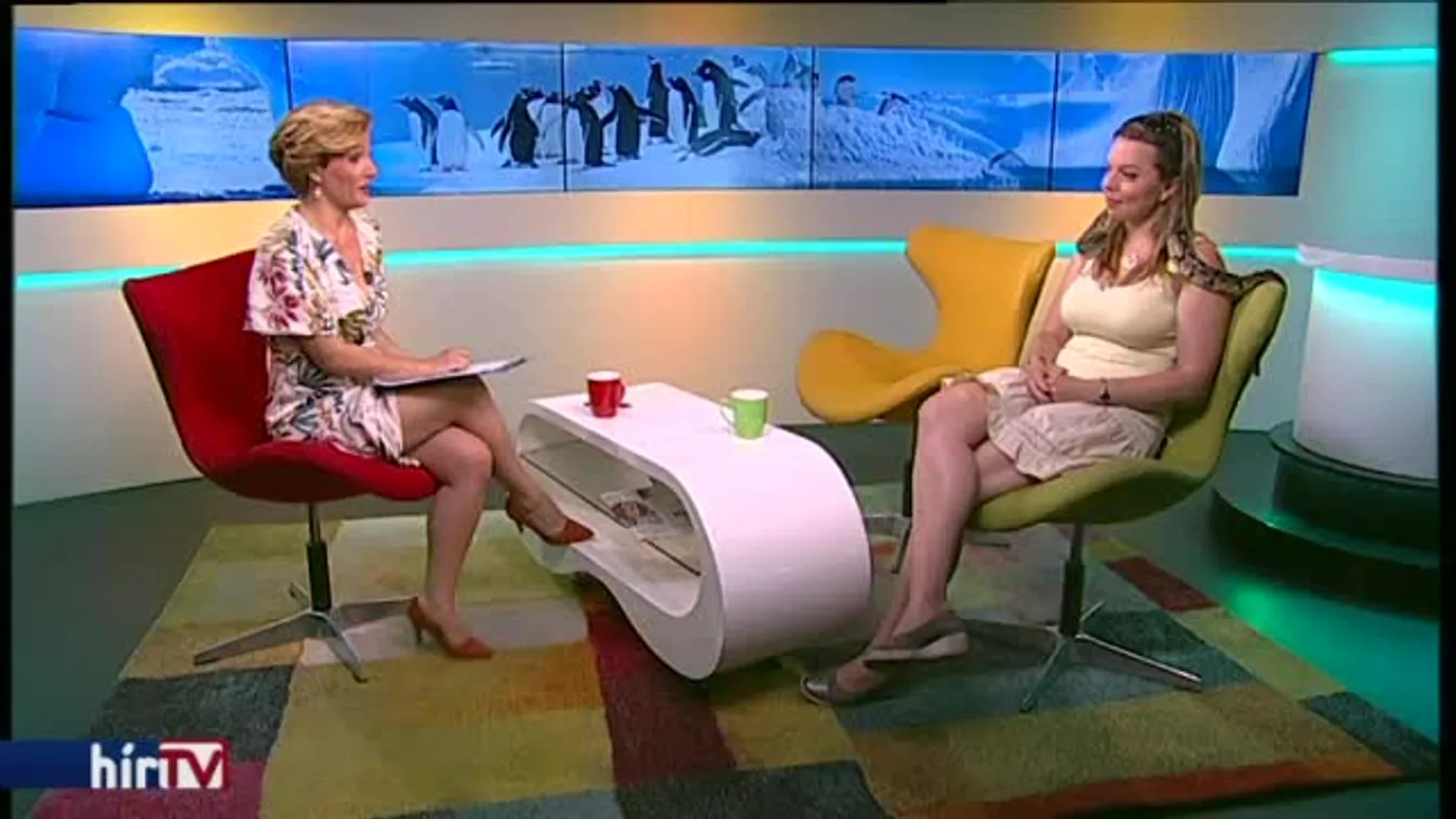 Reggeli járat - Expedíció