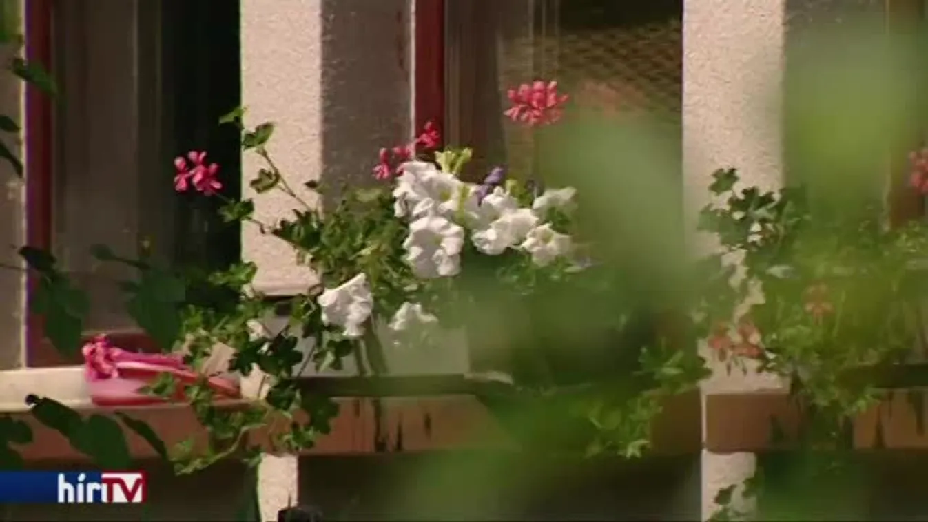 Nehézkes tanyára csokot kapni