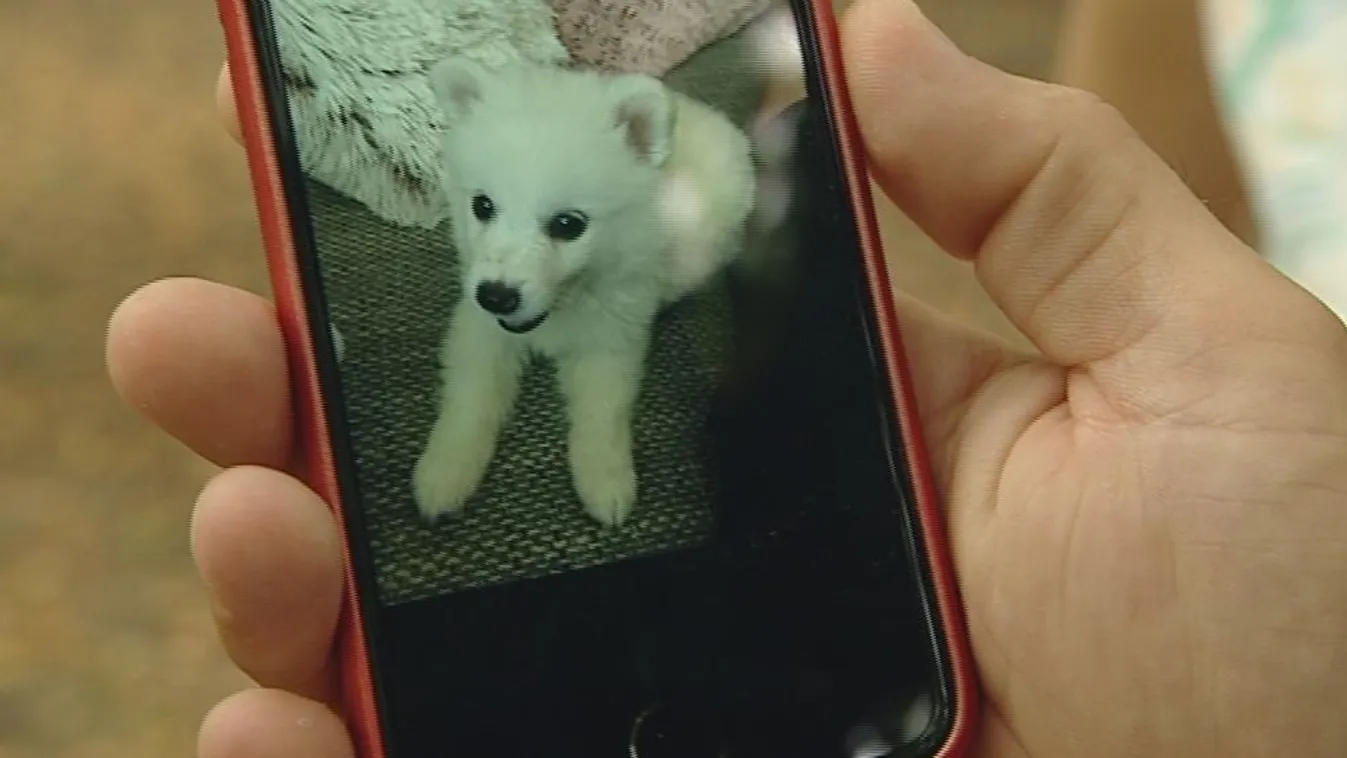 Ráfázhat, aki nem körültekintően vásárol