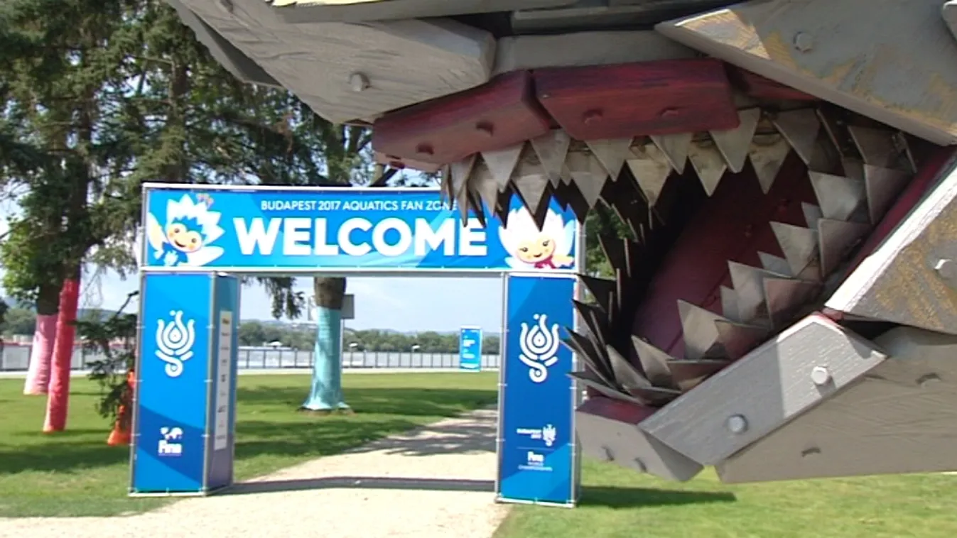 Nem csak fotózkodni lehet Hosszú Katinkával