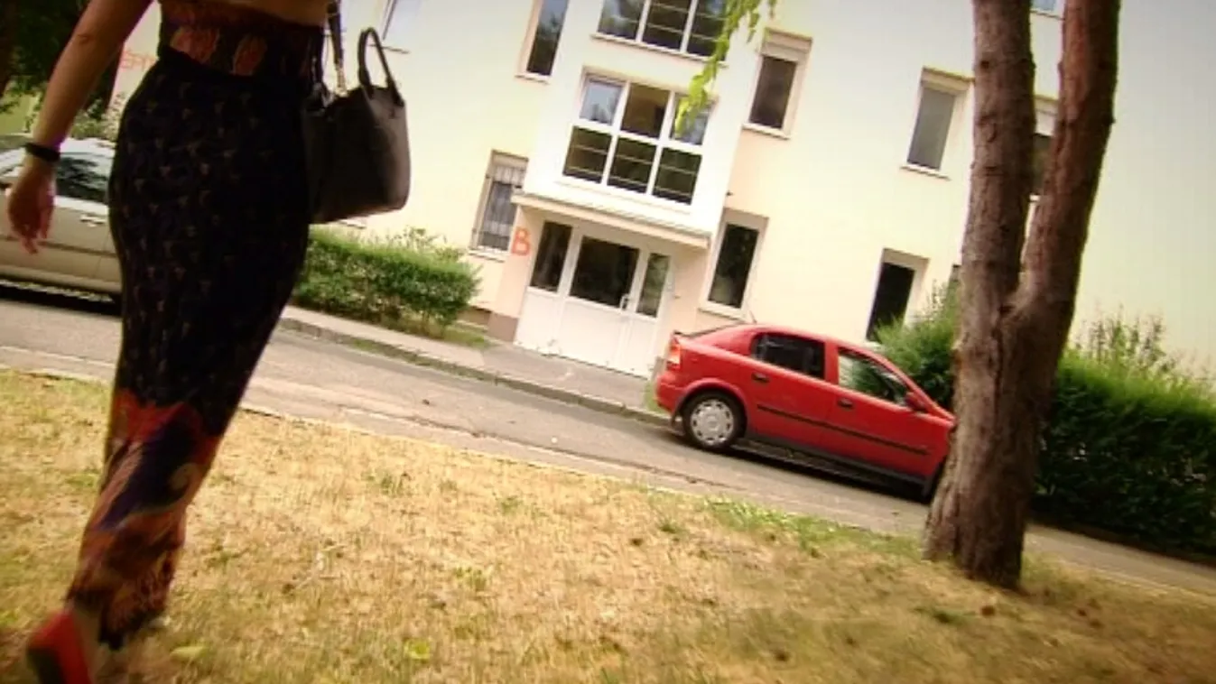 Se pénz, se lakás – Panaszkönyv