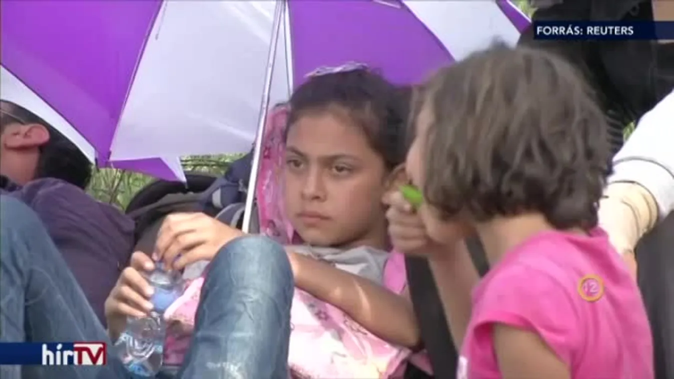 Riasztás - Ahmed Hamed