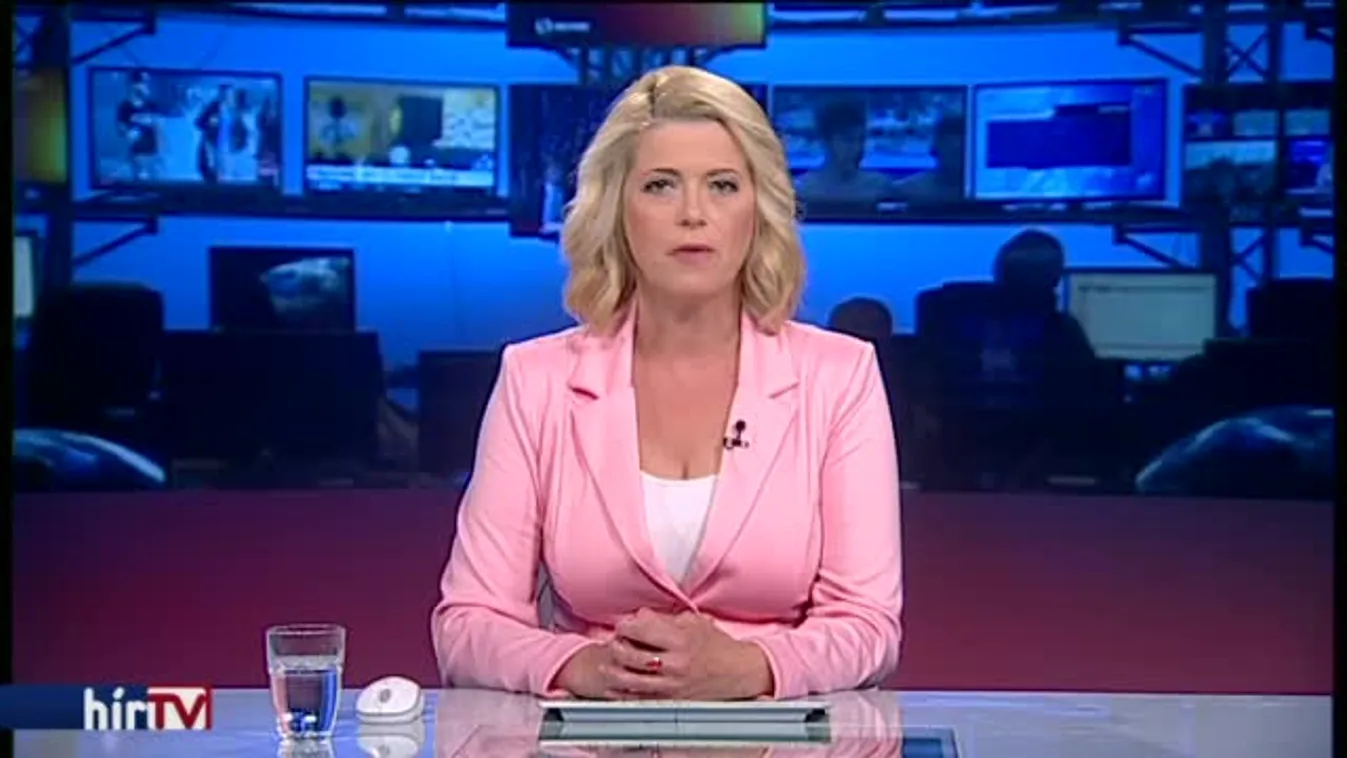 Sigmar Gabriel: A németországi törökökkel nincs probléma