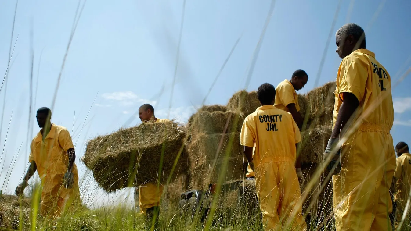 Fekete „rabszolgák” dolgoznak a fehér kormányzónak
