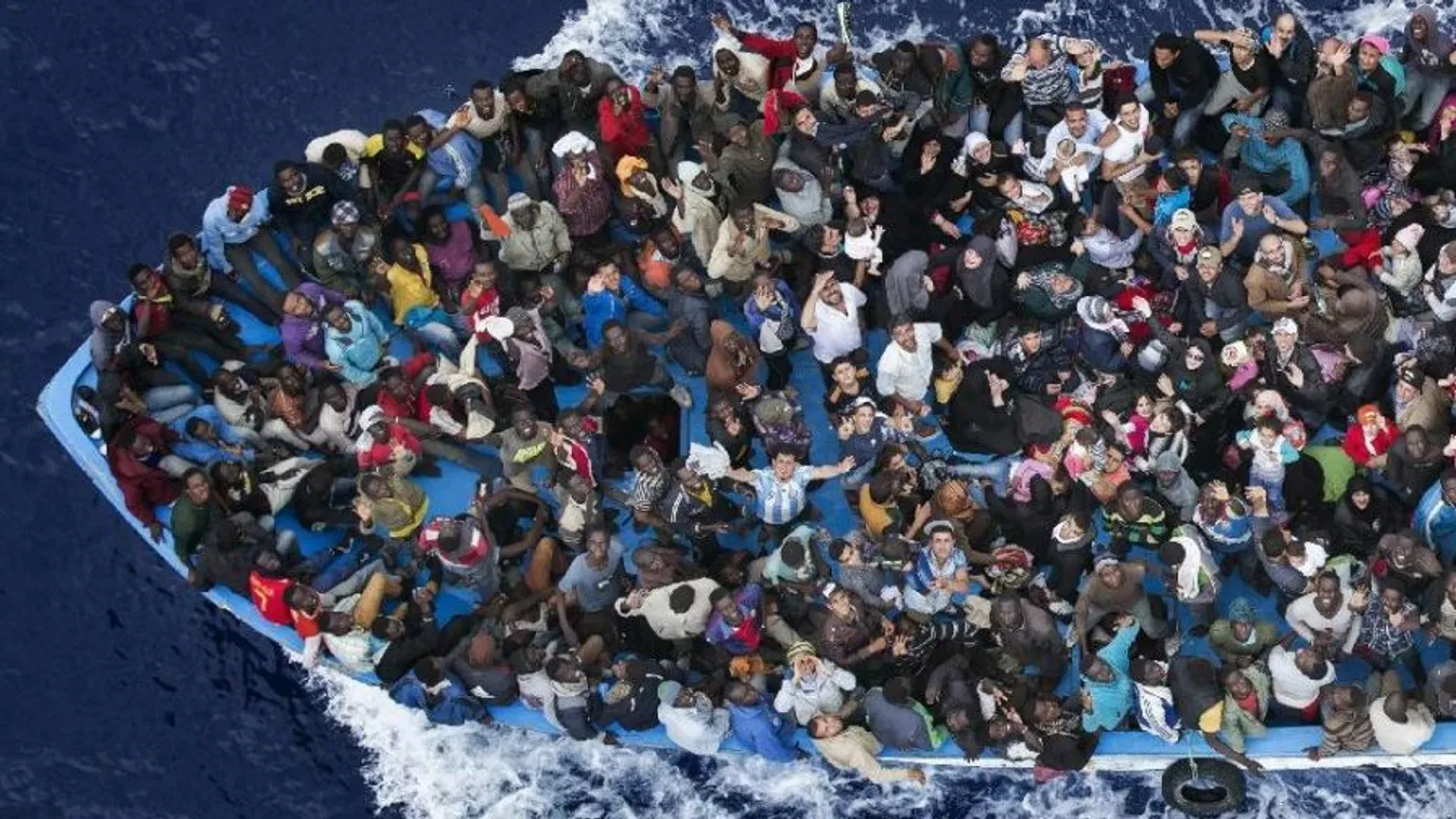 Tuti biznisz – BBC Our World