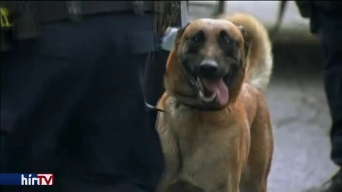 Orvos lövöldözött a kórházban