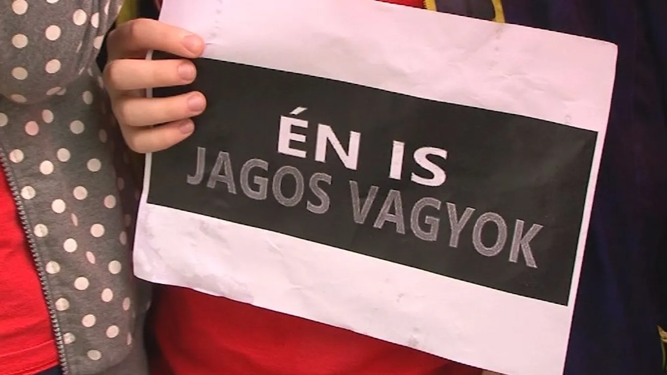 Kritizálta a kormányt, elvesztette az állását