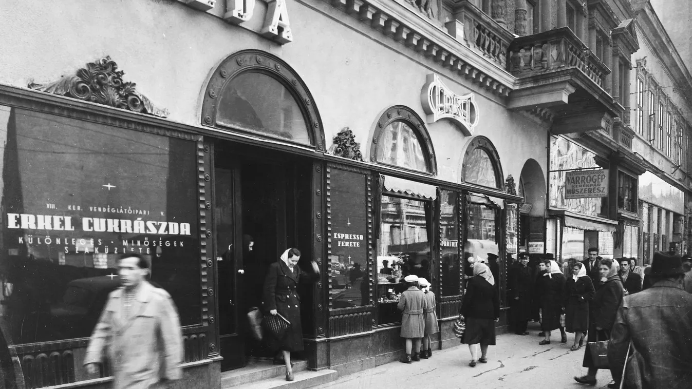 Cuki, avagy hajrá, Hauer, légy üdvözölve!