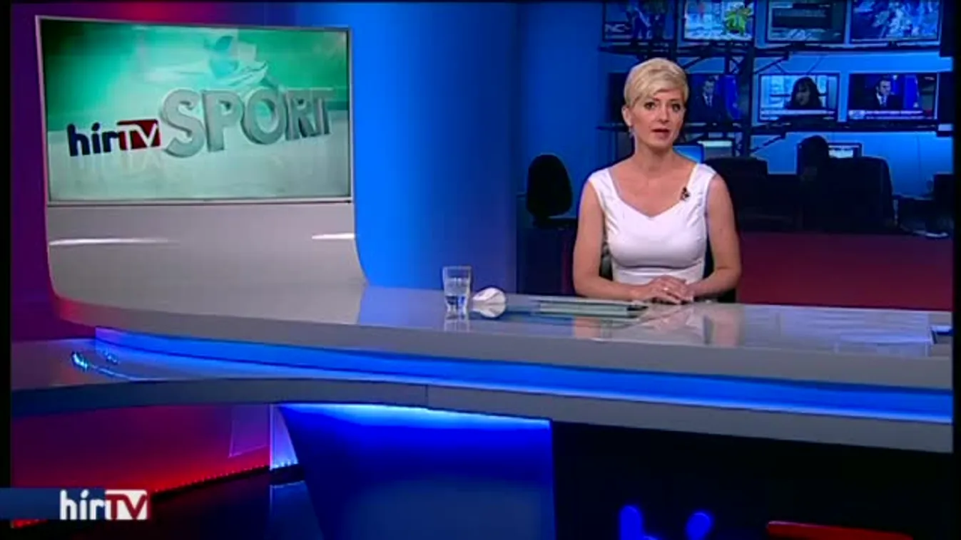 Gyárfás tagadja a túlárazást