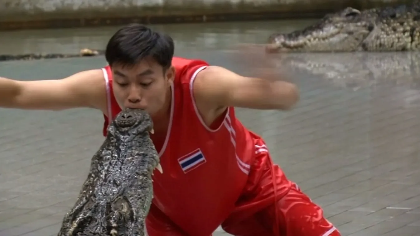 A krokodil csókja – Felfedező