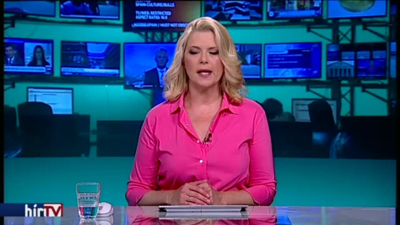 Kritizálta a kormányt, elvesztette állását