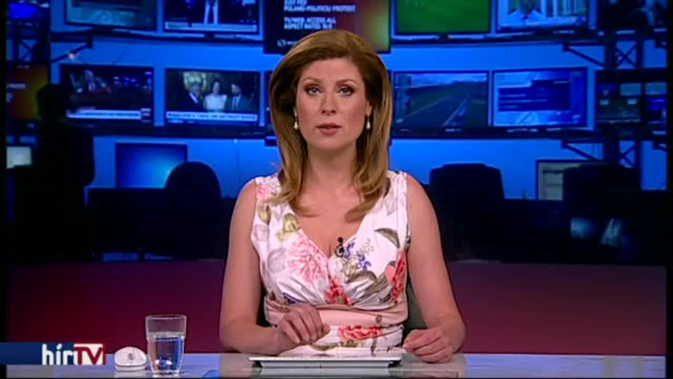 Új hivatalt álmodott meg Áder