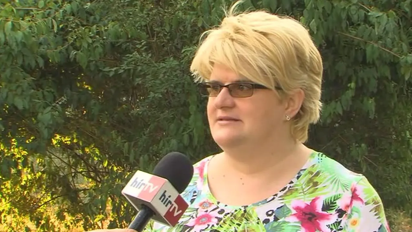 „Kétezer fő felett nem lesz szabadon választható polgármester”