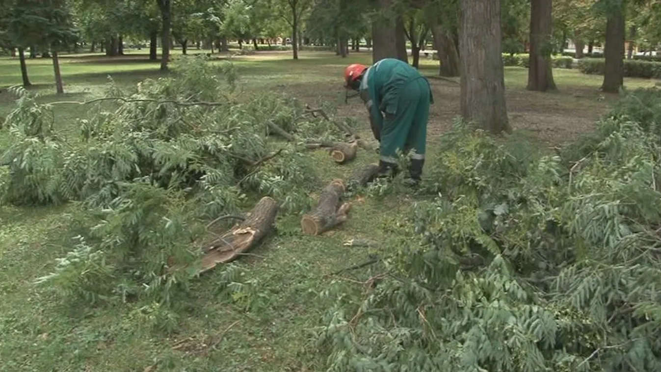 Még mindig küzdenek a viharkárokkal