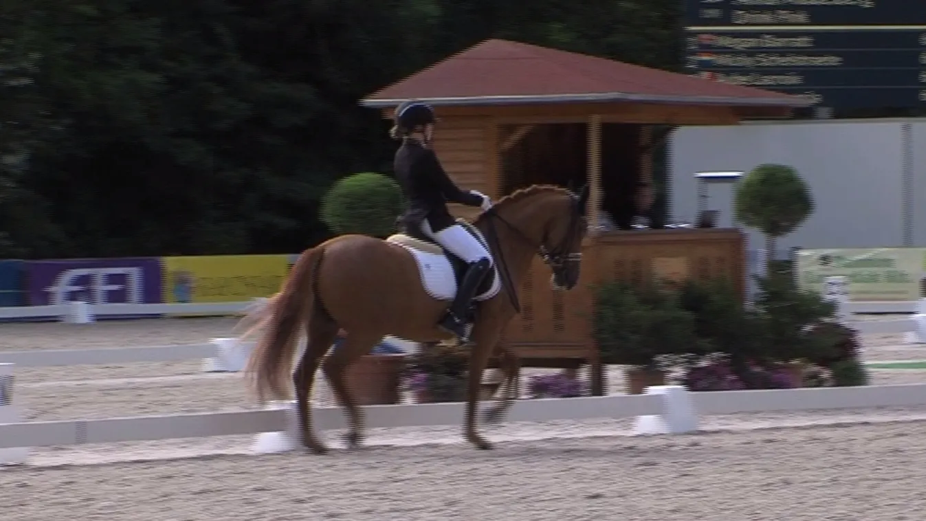 Póni-Eb-nek ad otthont Kaposvár