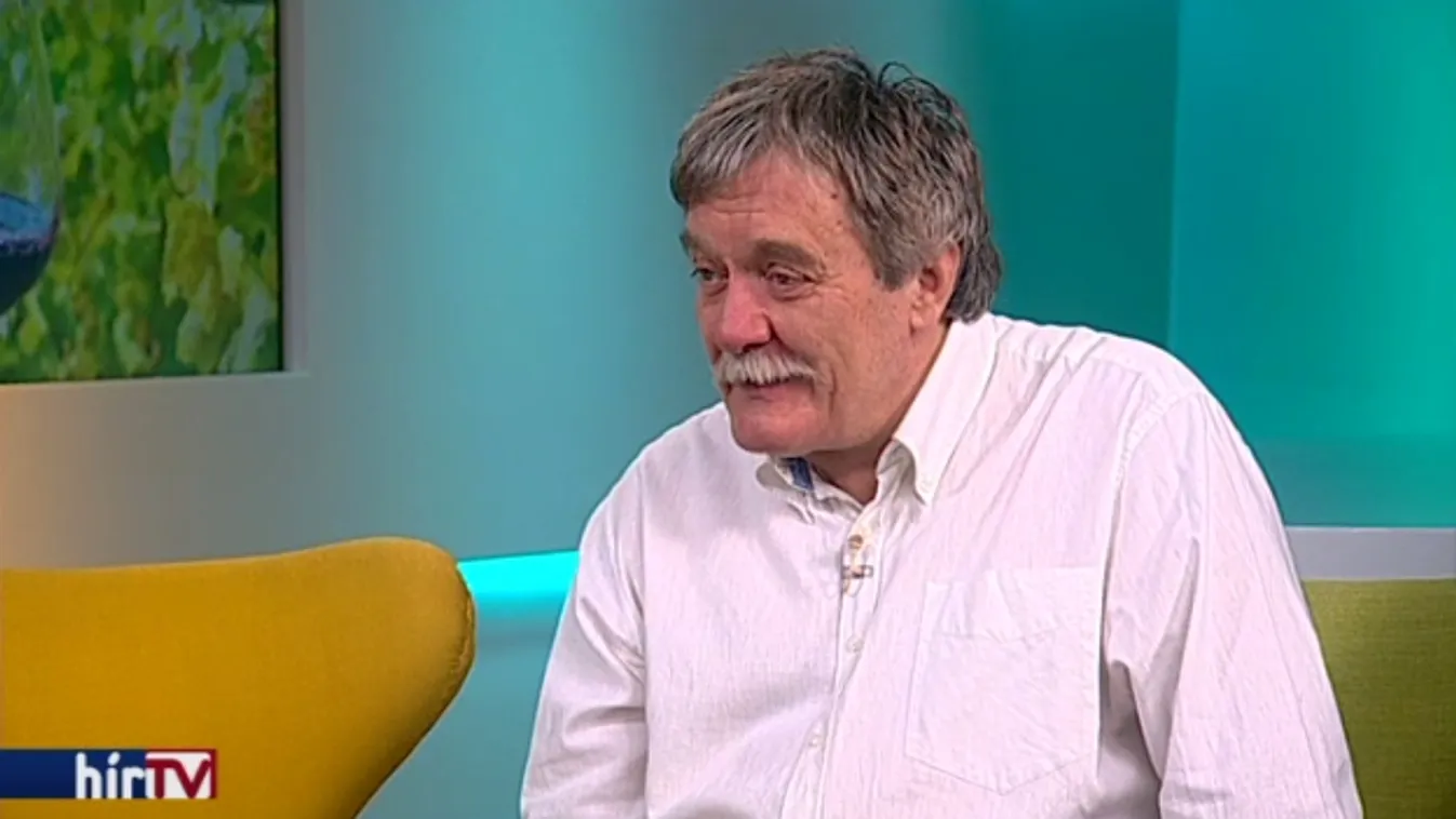 Gasztrokalauz a Balaton körül