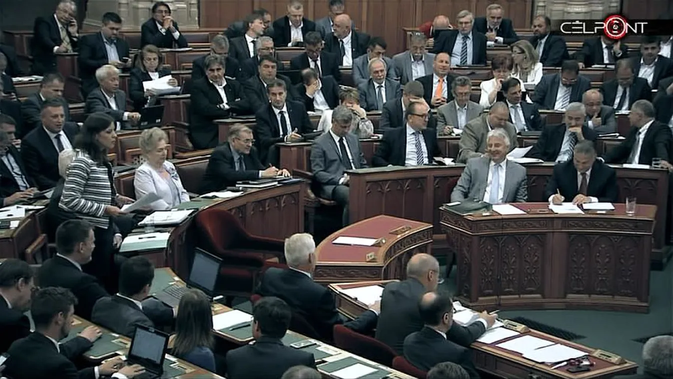 Politikusmustra – Célpont