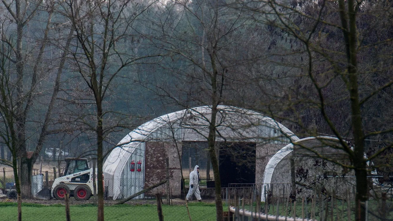 Madárinfluenza-mentes az ország