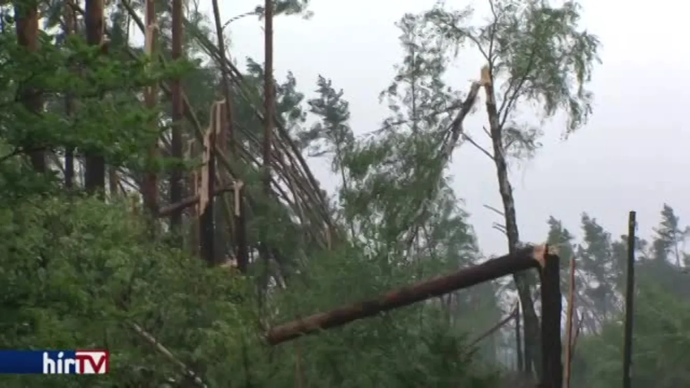 Heves záporeső és orkánerejű szélvihar támadt Lengyelországra