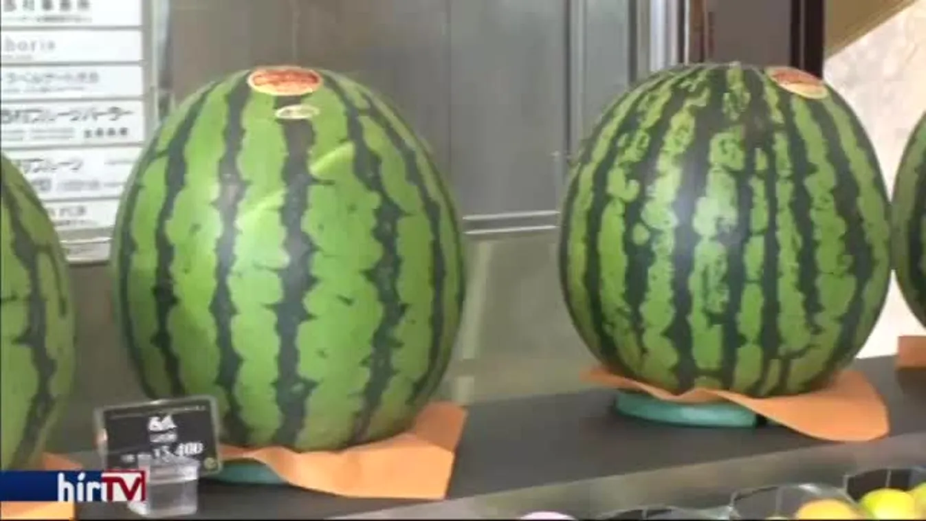 Megvesznek a kockadinnyéért