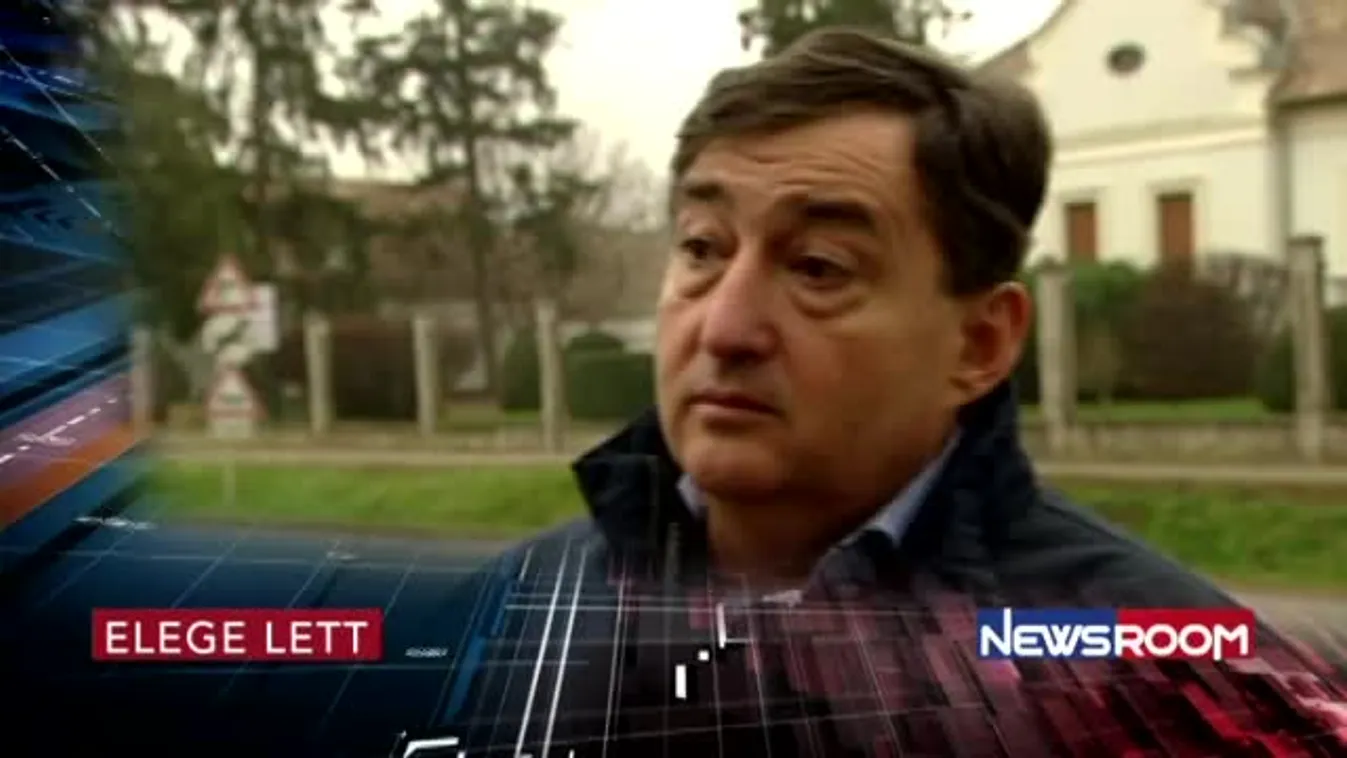 Elege lett - Newsroom ajánló