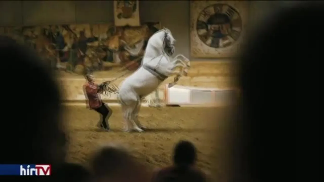 Reggeli járat – Időutazás a középkorba