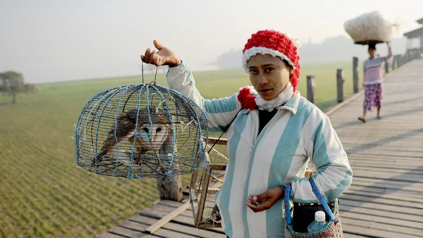 Harry Potter kiirtja a baglyokat