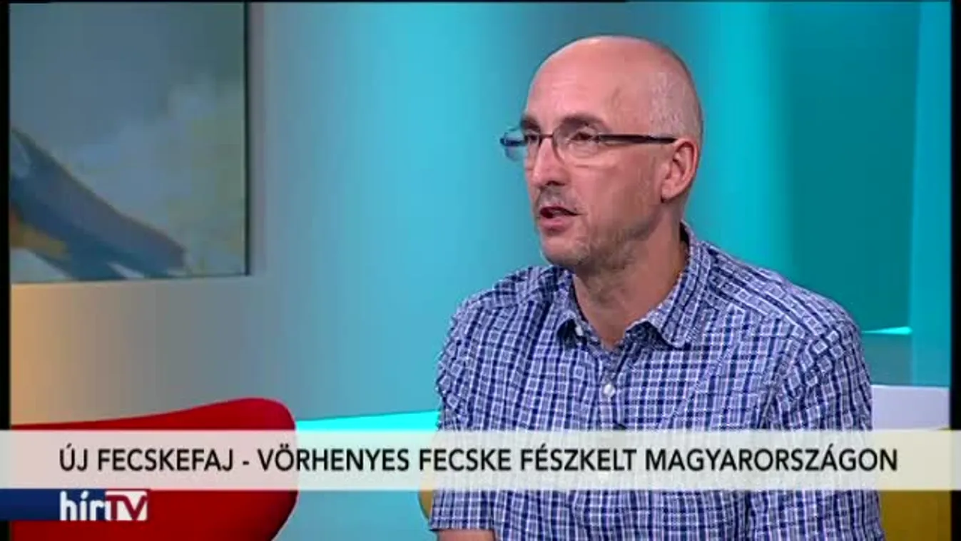 Reggeli járat – Új fecskefajt figyeltek meg Magyarországon