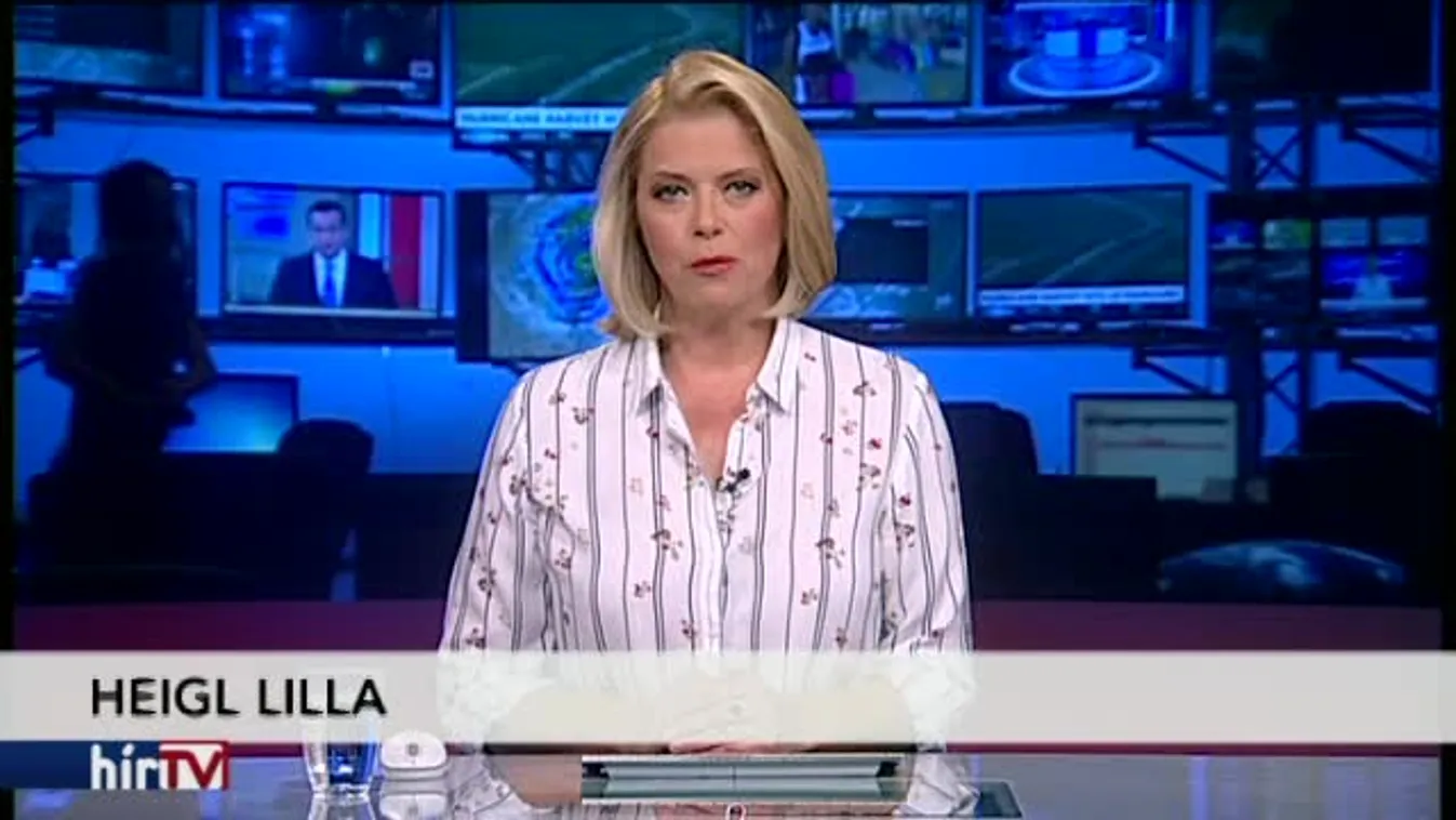 Vizes vb, edzőcsarnok: nagyot kaszál a cég