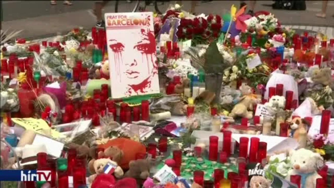 Robbantani is akartak a barcelonai támadók