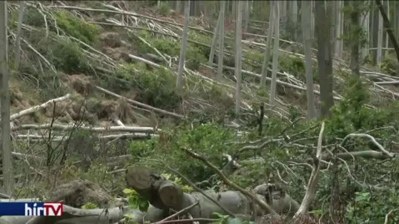 Még mindig káosz van a Bükkben