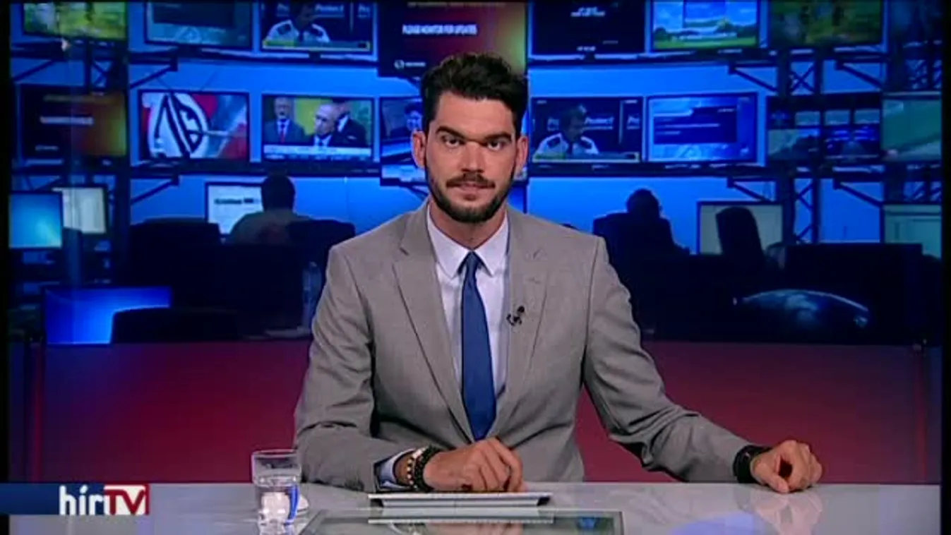 Elfogták a francia katonákat gázoló autóst