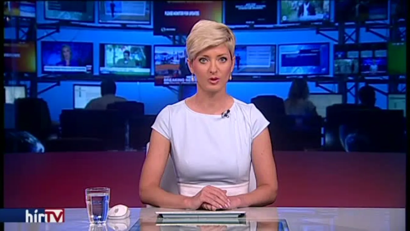 Módosítana a lex Csicskán az ellenzéki párt