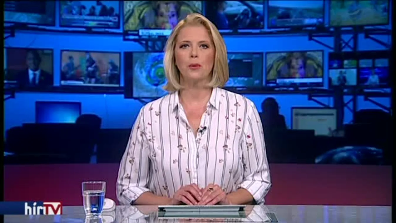 „A kormány a nemzetek Európája mellett tette le a voksát”