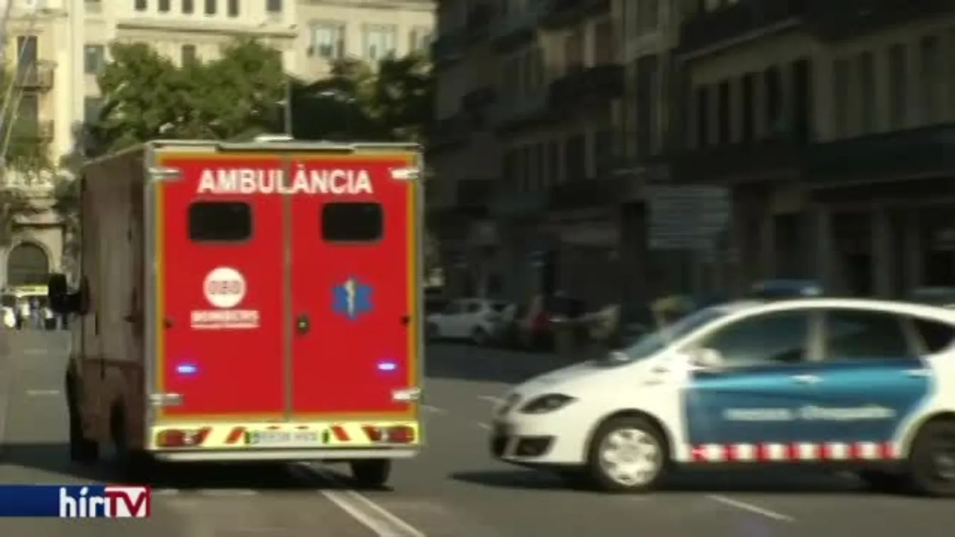 Hírvilág - Gázolásos merénylet