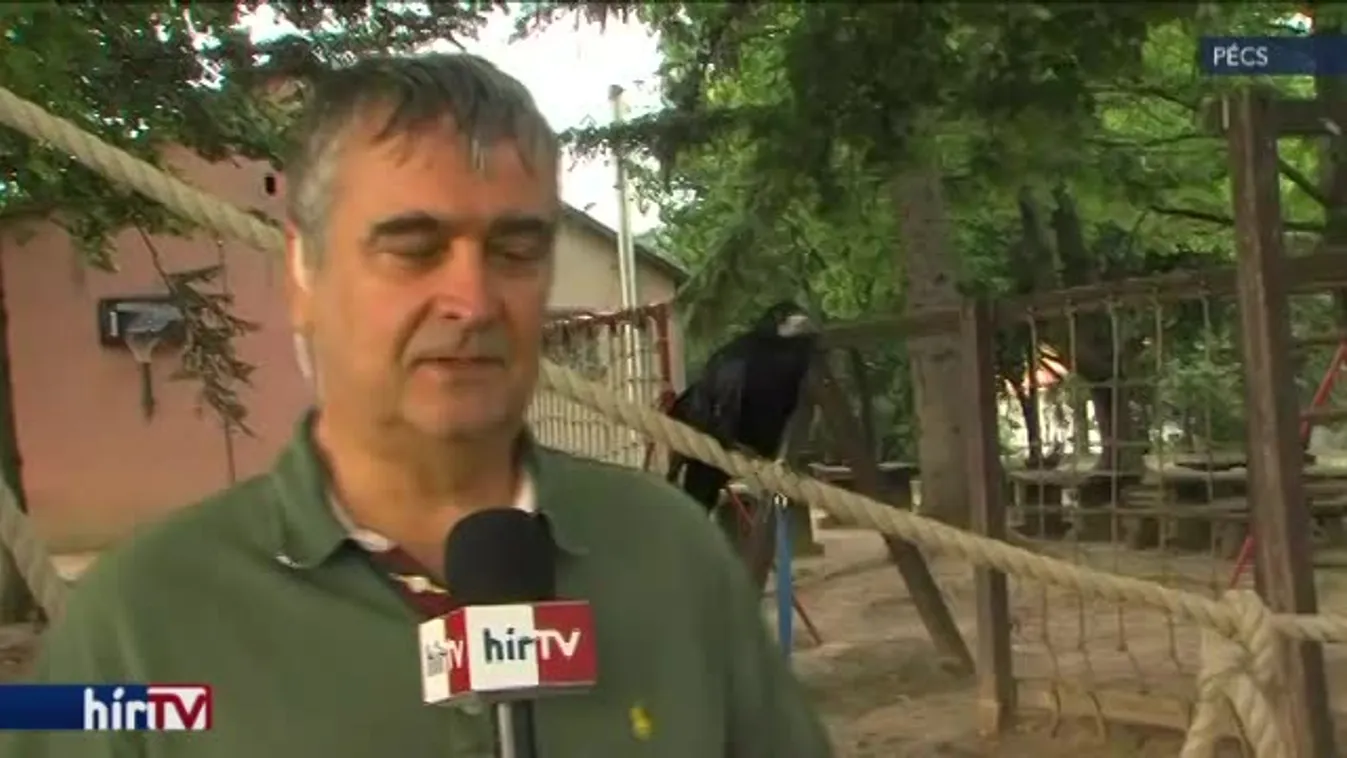 Reggeli járat - Röpköd és beszél