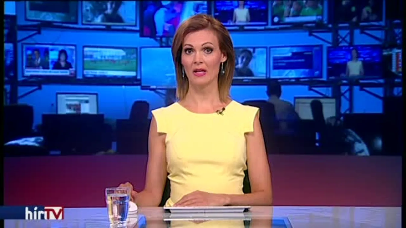 Elmarasztalta a Velencei Bizottság a lex CEU-t