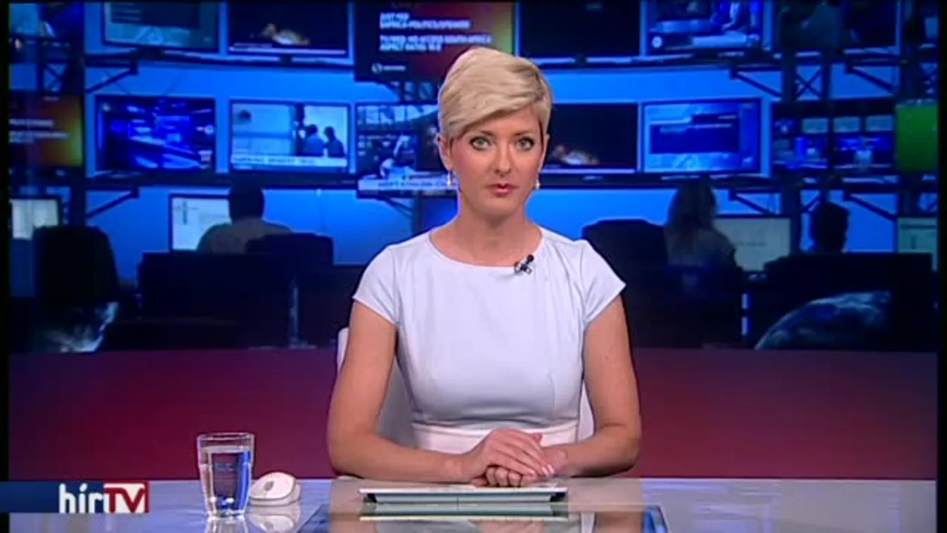 Magánmegrendelő népszerűsíti a Jobbik kezdeményezését