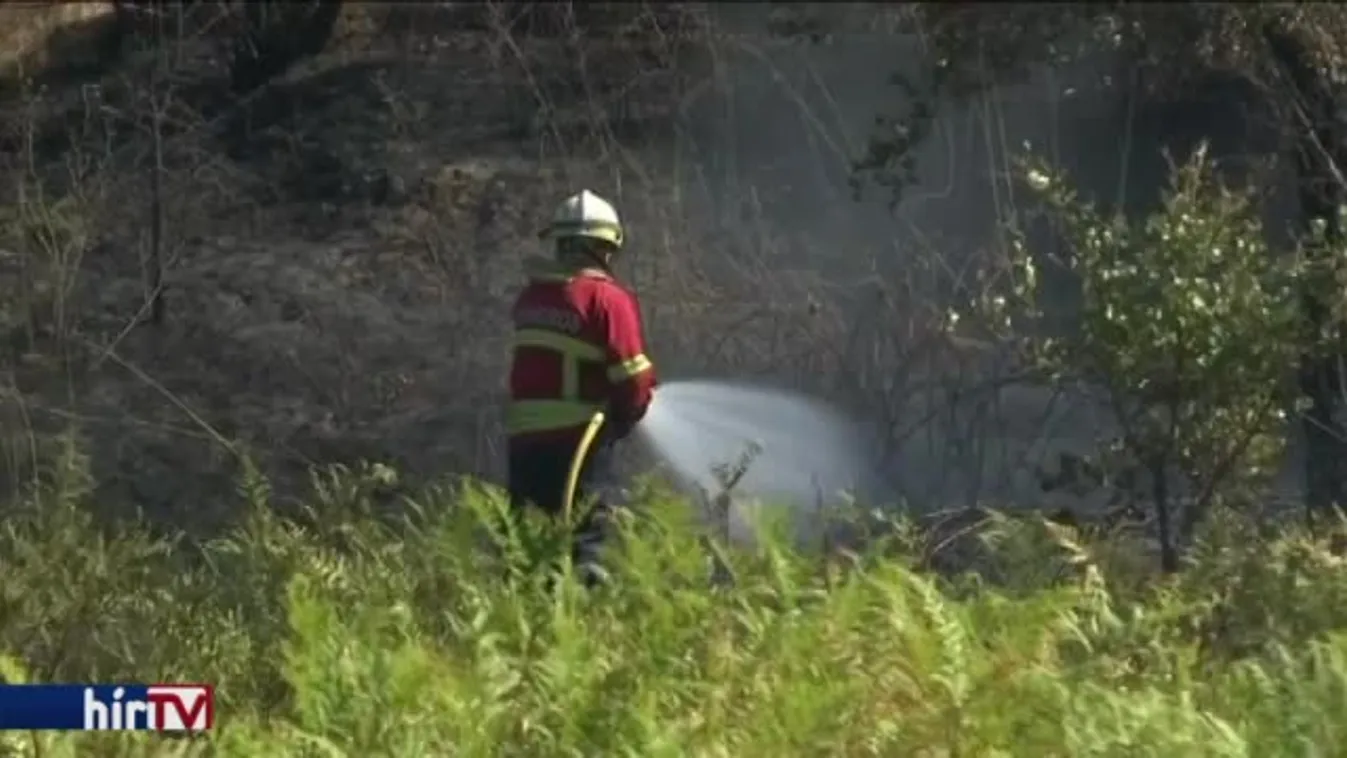 Erdőtüzek veszélyeztetik a görög fővárost
