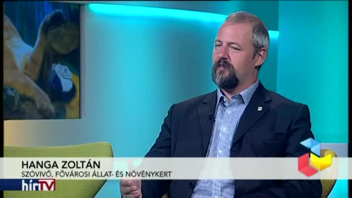 Reggeli járat - Állatkertek éjszakája