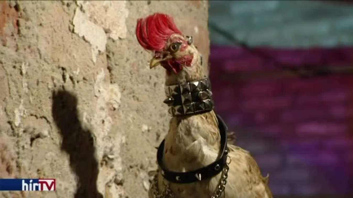 IHLET – csoportos kiállítás a Vajda Lajos Stúdió Pinceműhelyben